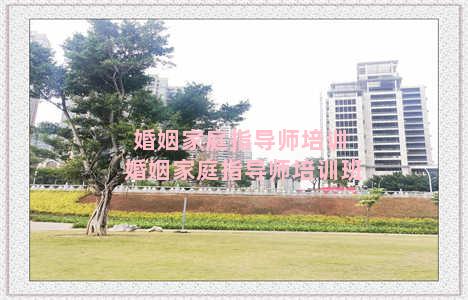 婚姻家庭指导师培训 婚姻家庭指导师培训班